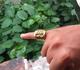 Anillo 10 y 14 k