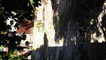 img2